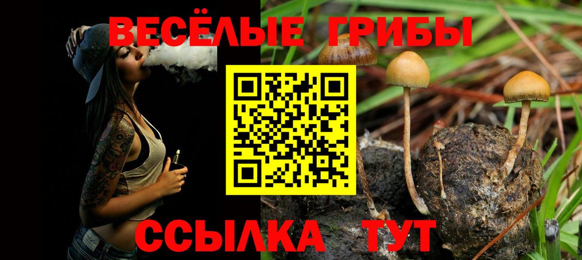 Сургут  Галлюциногенные грибы Magic Shrooms  цены наркотик  Вход с VPN 