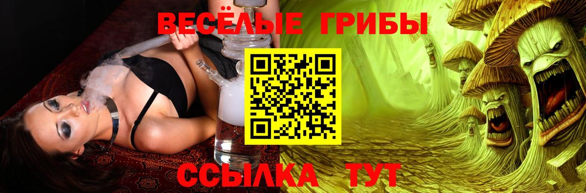 Галлюциногенные грибы прущие грибы Сургут